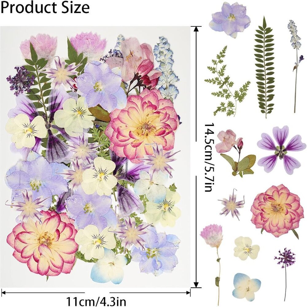 50Pcs Dried Pressed Flowers Resin Mould Real Pressed Flowers Natural Dry Leaves - Picture 3 of 6